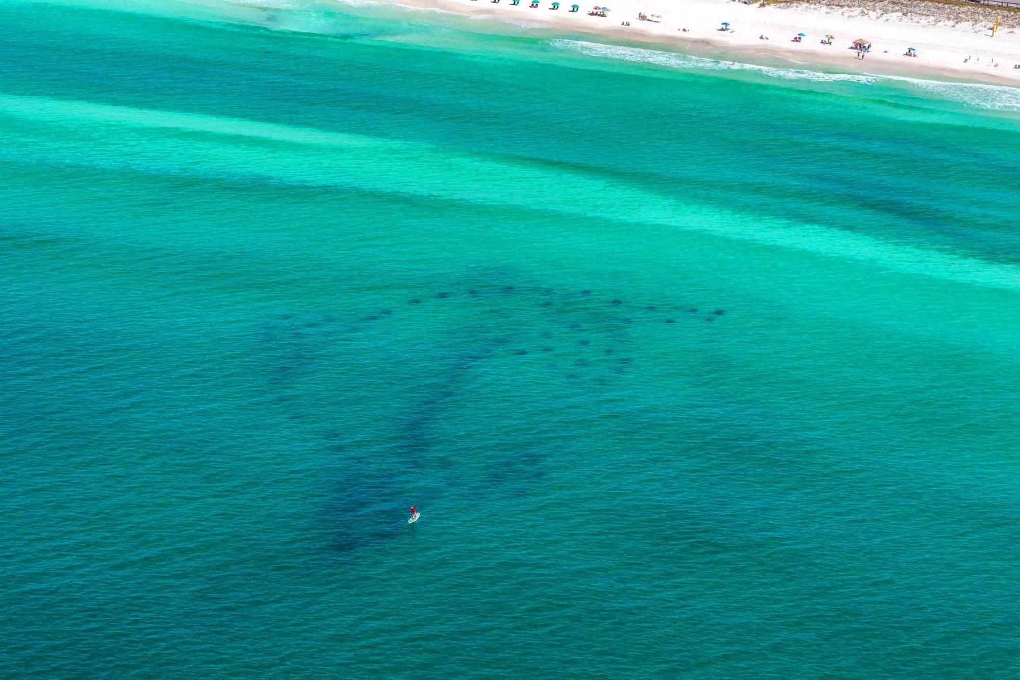 Cabin By The Sea Villa Destin Eksteriør billede